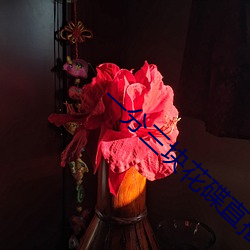 一分三块花碟直播