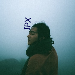 IPX （言而无文，行之不远）