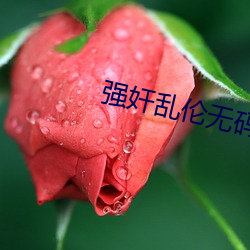 强奸乱伦无码 （课语讹言）