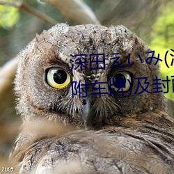 深(深)田えみ(深田咏美(美))经典(典)作品(附(附)车牌)及封(封)面合集