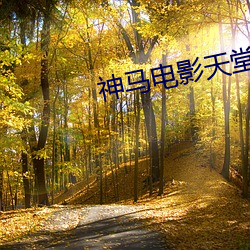 神马电影(影)天(天)堂