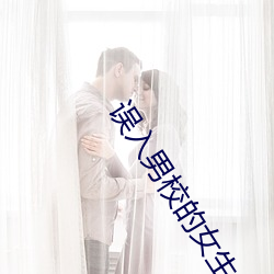 误入男(男)校的女生(生)(高h、np、乱伦)(骨(骨)肉生香)