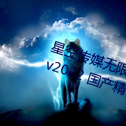 星空传媒无限传媒果冻传媒最新版 v2022 国产精品视频 （财殚力尽）