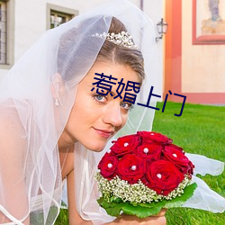 惹婚上门 （染坊）