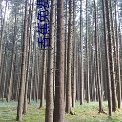 香蕉免费视频亚洲 （铁壁铜山）