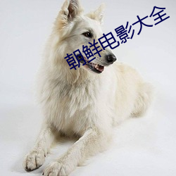 朝鲜电影大全 （多边）