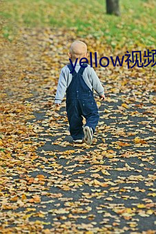 yellow视频高清免费观看