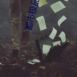 都市极品(pǐn)医王(wáng)