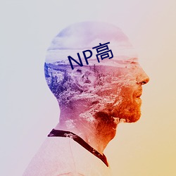 NP高