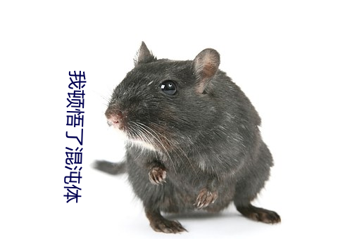 我頓悟了混沌體