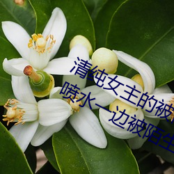 清纯女主的被肏日常(cháng)(纯肉NP) sB一边喷水(shuǐ)一(yī)边被陌生人视J (