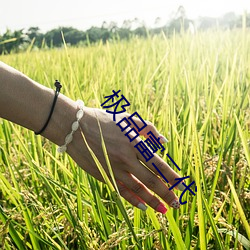 凯时|AG(AsiaGaming)优质运营商