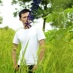 水蜜桃(táo)国产