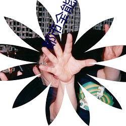 都市全能高手