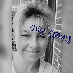小說《房術》