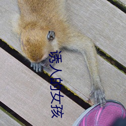 金年会 | 诚信至上金字招牌