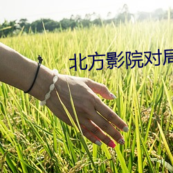 北方影院对局