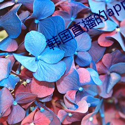 金年会 | 诚信至上金字招牌