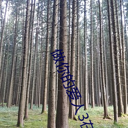 做你的爱(ài)人3在线观看高清版