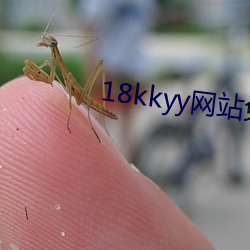 18kkyy网(網)站免费