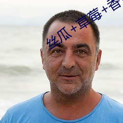 丝瓜+草莓+香蕉宅人必备 （一寸赤心）