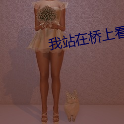 我站在桥上看风景小说