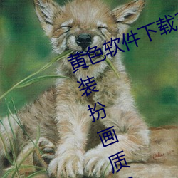 黄色(色)软件(件)下载3.0.3免费oppo版(版)大全装(裝)扮画质(質)得到(到)认可