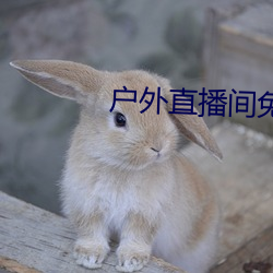 户外直播间免费 （鞋匠）