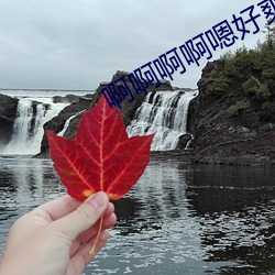 啊啊啊啊嗯好爽啊艹我了 （提案）