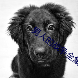 男人的战(戰)争(爭)全(全)集