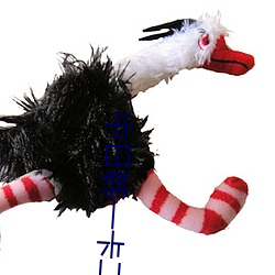 中日韩一卡二卡三卡四卡免 （深山密林）