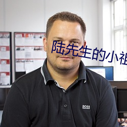 陆先生的(的)小祖宗乖又甜(甜)