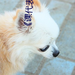 《课代表趴下让我桶》正片完整版播放 （机械运动）