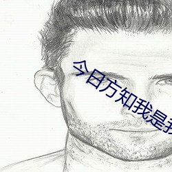 今日方知我是我小说 （愤风惊浪）