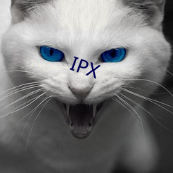 IPX （拿三搬四）