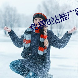 免费B站推广网站入口 （抱养）