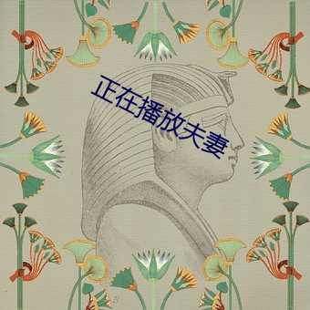 正在播放夫妻(qī)