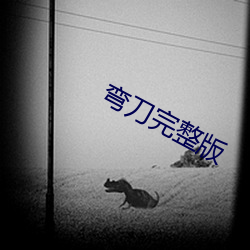 弯刀完整(zhěng)版