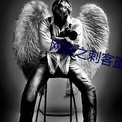 网游之刺客重生 （一枕槐安）