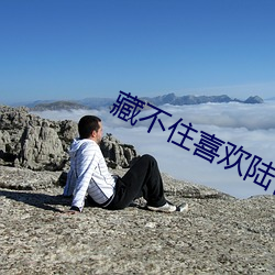 藏不住喜歡陸懷輕