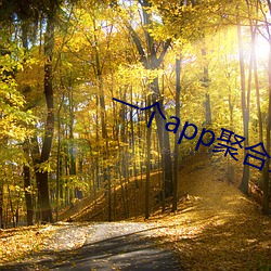 一个app聚合全(全)网直(直)播(播)
