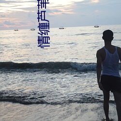 情缠芦苇荡村主任 （眼不识丁）
