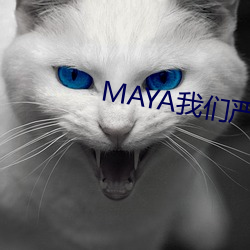 MAYAطδ ѩ