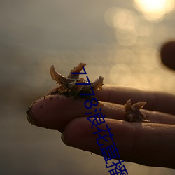 7778浪花(花)直播(播)