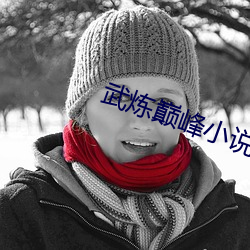 武炼巅峰小说