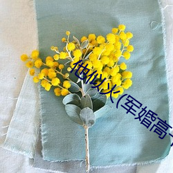 他似火(军婚(婚)高干(幹)婚恋(戀))全文(文)免费(費)阅读