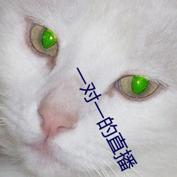 一对一的直播 （迷而知返）
