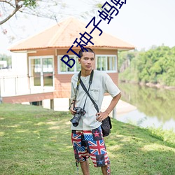 BT种子蚂(mǎ)蚁磁力