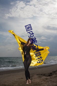 国内著名模特 （笑面虎）