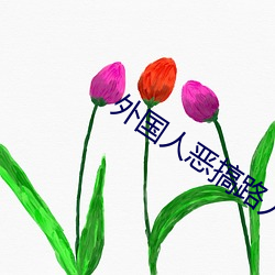 外国人恶搞路人